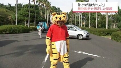 【訓練】 地震でトラが逃げ出した想定　宮崎市フェニックス自然動物園で避難誘導と捕獲の訓練